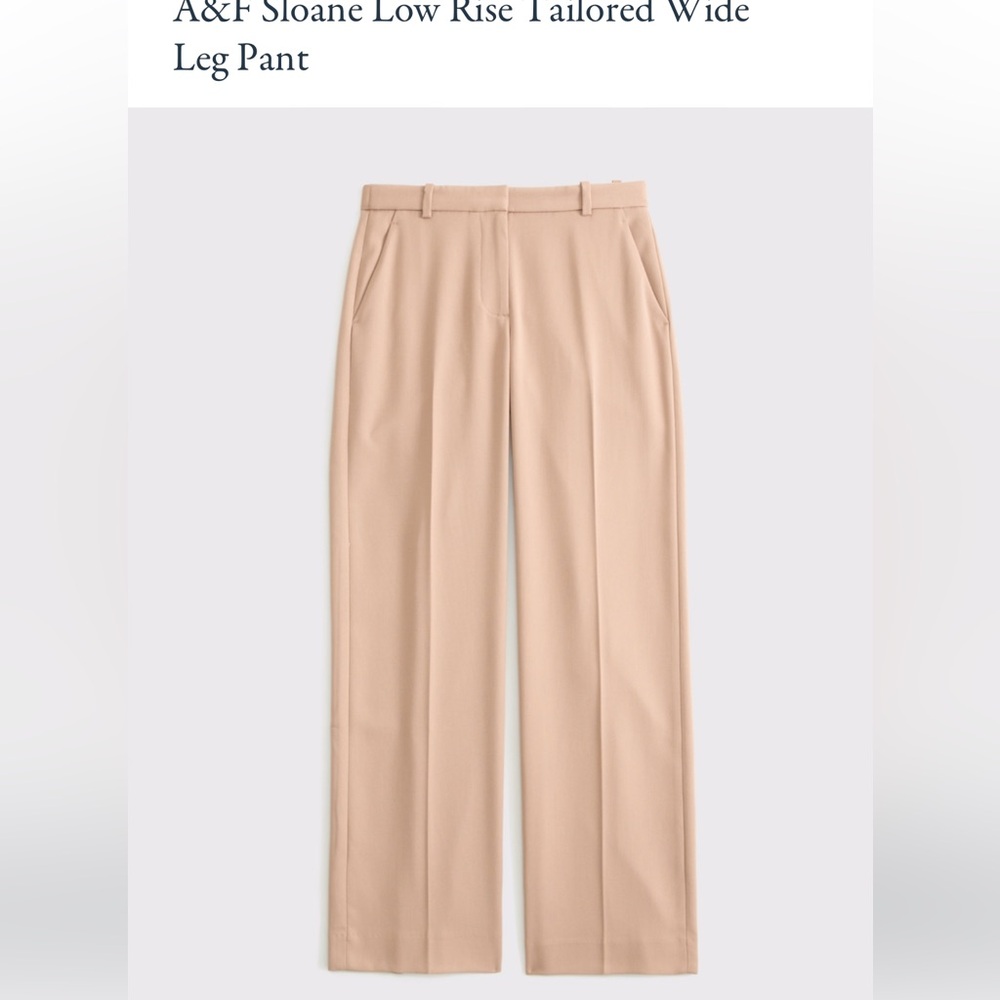 Abercrombie & Fitch Beige Tailored wide Dress Pants sloane